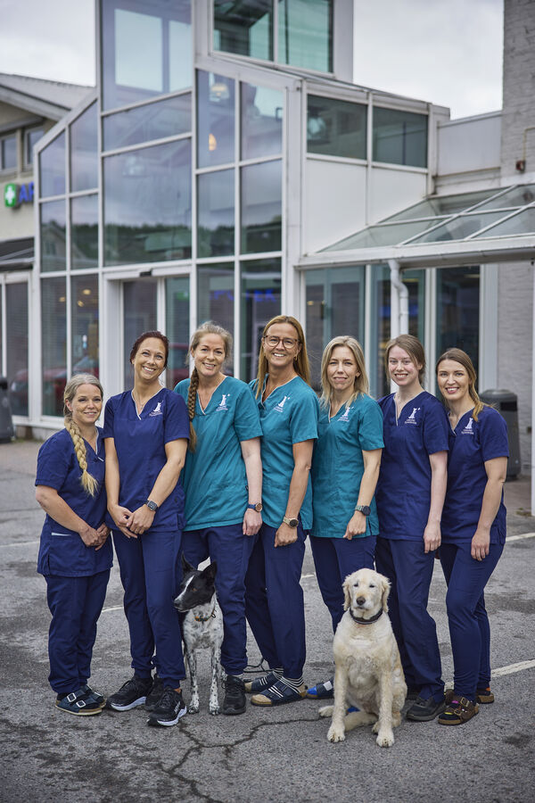 Inngangsparti til Glåmdal Dyreklinikk i Tronsmos veg 10